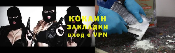 соль ск Алзамай