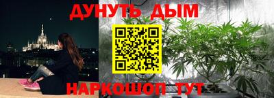 крисы Рязань