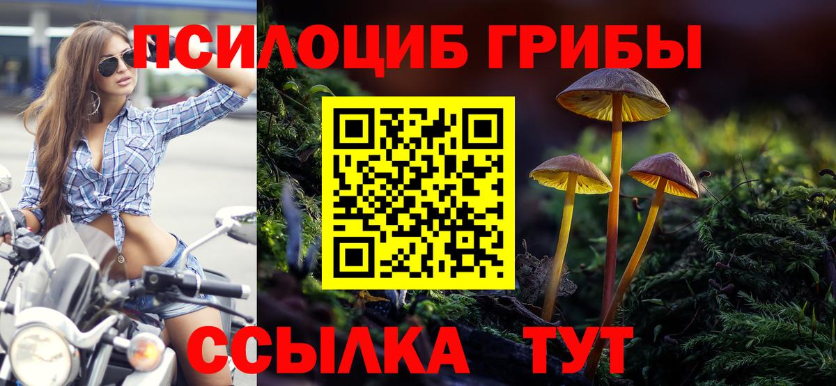 Учалы  где купить наркотик  Вход с VPN  Галлюциногенные грибы мухоморы 